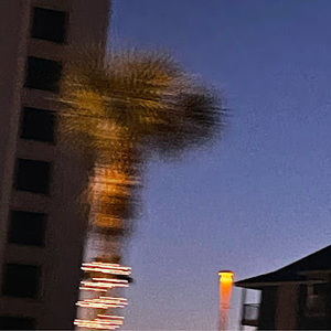 Meet your Posher, Ava kayte